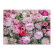 Galison Puzzle Anglické růže 1000 dílků - poškozený obal