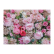 Galison Puzzle Anglické růže 1000 dílků - poškozený obal