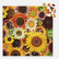 Galison Puzzle Květy slunečnic 500 dílků