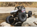 RC auto Axial Capra 1.9 4WD 1:10 Kit