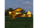 E-flite Waco 0.55m SAFE Select BNF Basic, žlutá