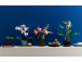 LEGO Icons - Orchidej
