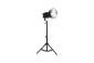 Nanlite LS-60 Light Stand