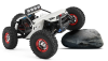 RC auto Buggy Storm Across