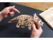 Ugears 3D dřevěné mechanické puzzle Triceratops