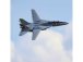 E-flite F-14 Tomcat 0.76m BNF Basic