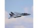 E-flite F-14 Tomcat 0.76m BNF Basic