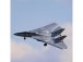 E-flite F-14 Tomcat 0.76m BNF Basic