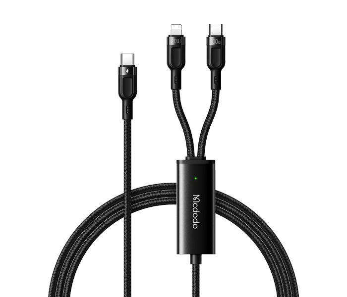 2in1 100W PD Fast Charging Cable (C to C+L)