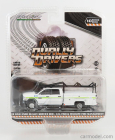 Greenlight Dodge Ram 3500 Double Cabine Pick-up Wildlife Fire Engine 2018 1:64, bílá