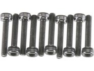 Axial šroub imbus M3x16mm CH (10)