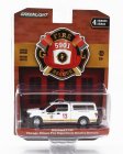 Greenlight Ford usa F-150 Pick-up Closed Chicago Fire Engine 2018 1:64 Bílá Žlutá