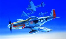 Model Kit letadlo 12485 - P-51D (1:72)