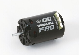 BRUSHLESS GM PRO 6T motor