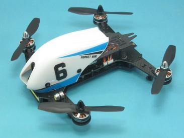 Dualsky Hornet Mini KIT