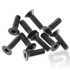 Zápustný šroub 3x10mm (10 ks.)