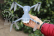 BAZAR - Dron Syma X30