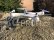 Dron Syma X25PRO