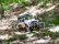 RC auto Land Rover Trail 1/12 RTR 4WD, bílá