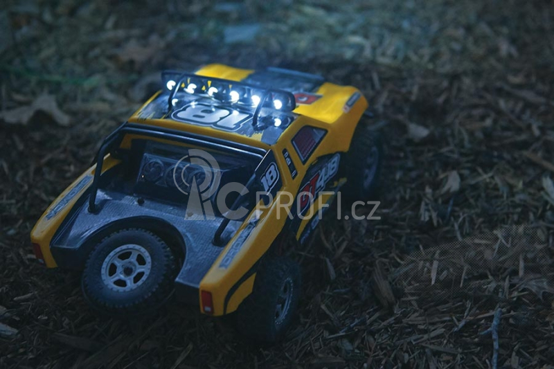 DT4.18 4WD 1/18 RTR