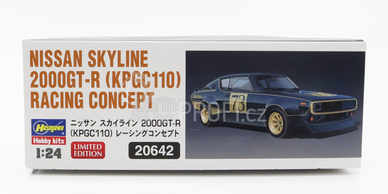 Hasegawa Nissan Skyline 2000 Gt-r N 73 (kpgc110) Racing Concept 1973 1:24 /