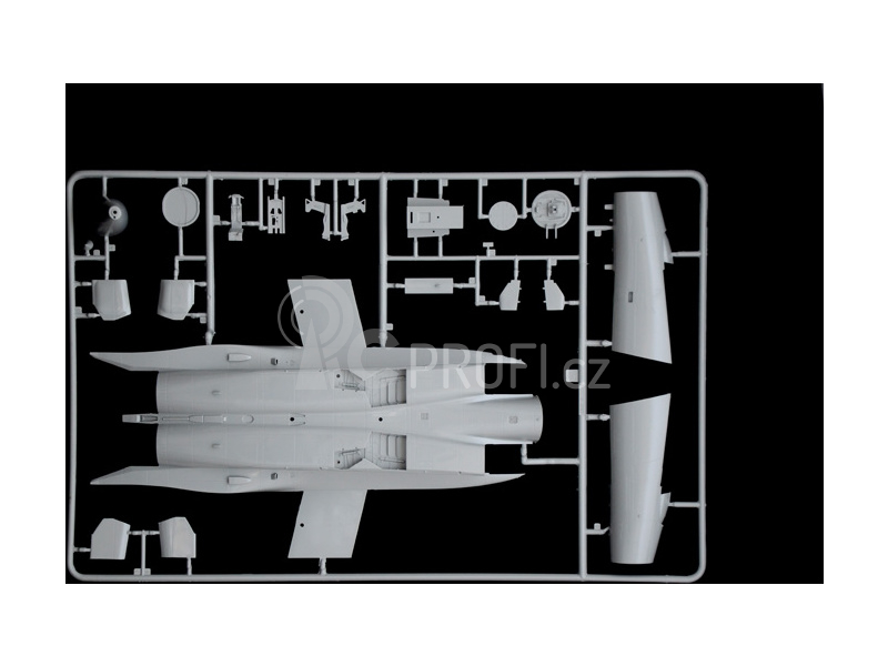 Italeri F-15C EAGLE (1:48)