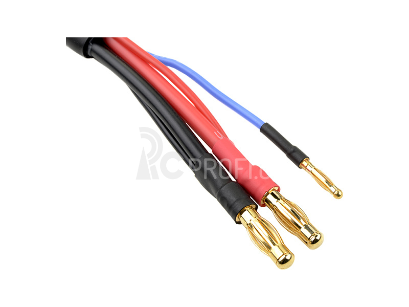 Nabíjecí kabel s 2S XH -> 4mm/2mm 30cm