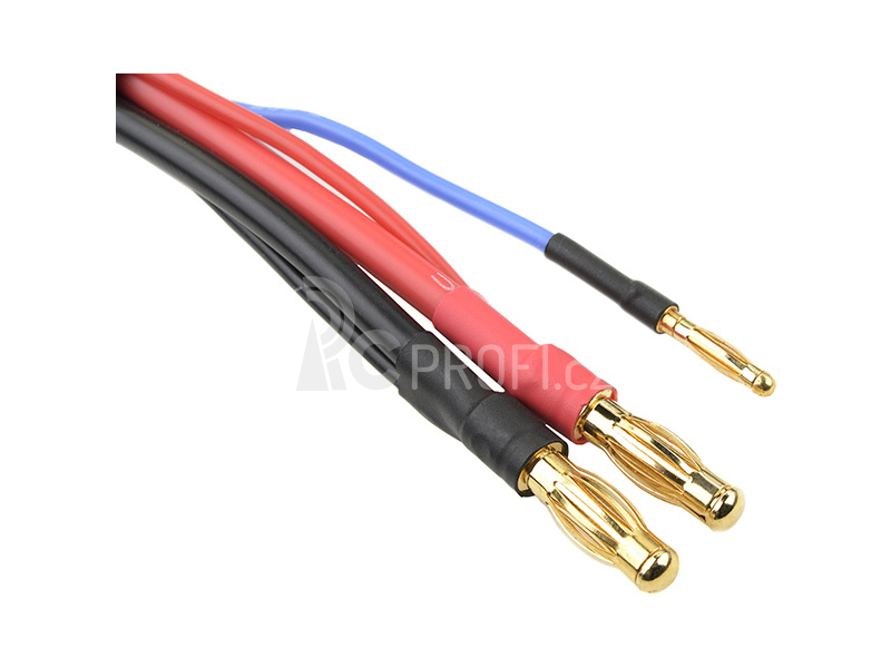 Nabíjecí kabel s 6S XH -> 4mm/2mm 30cm