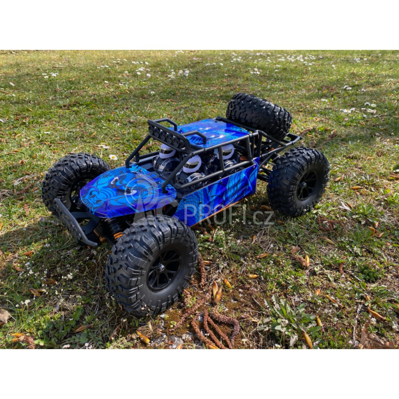 RC auto DF models Beach Fighter BR Brushed 1:10 XL 