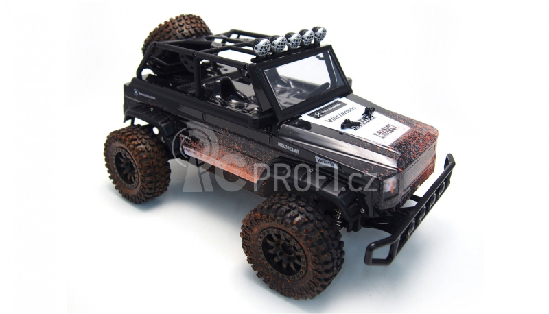 RC auto SUNNY